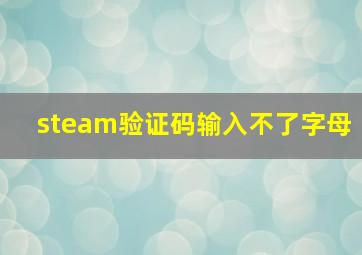 steam验证码输入不了字母