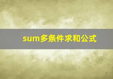 sum多条件求和公式