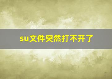 su文件突然打不开了