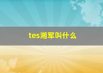 tes湘军叫什么