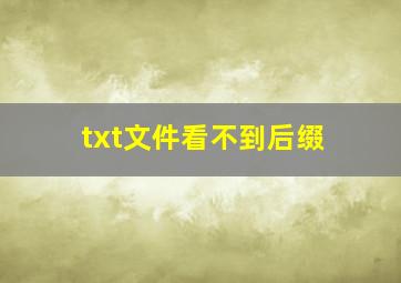 txt文件看不到后缀