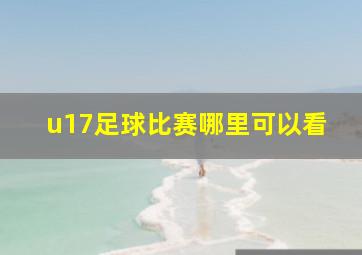 u17足球比赛哪里可以看