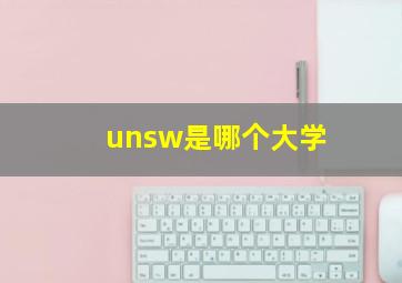 unsw是哪个大学