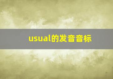 usual的发音音标