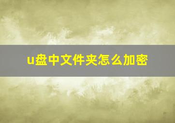 u盘中文件夹怎么加密