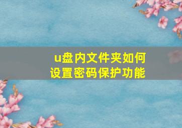 u盘内文件夹如何设置密码保护功能