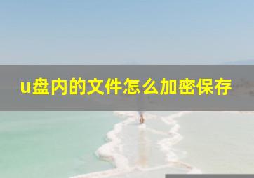 u盘内的文件怎么加密保存