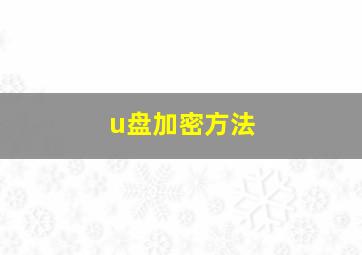 u盘加密方法