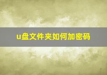 u盘文件夹如何加密码