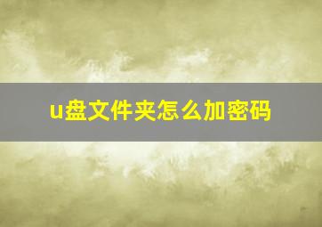 u盘文件夹怎么加密码