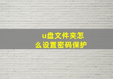 u盘文件夹怎么设置密码保护