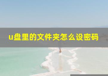 u盘里的文件夹怎么设密码