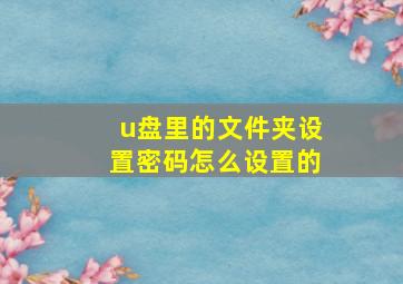 u盘里的文件夹设置密码怎么设置的