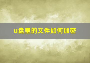 u盘里的文件如何加密