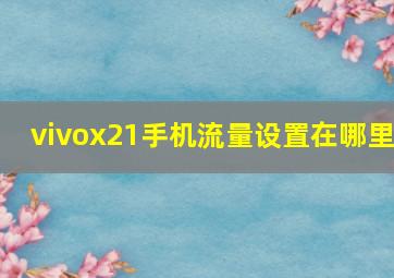 vivox21手机流量设置在哪里