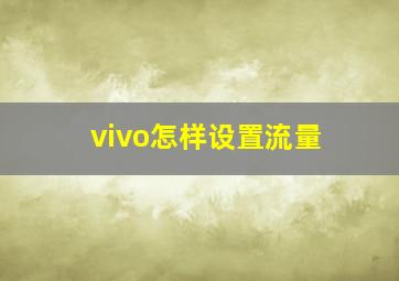 vivo怎样设置流量