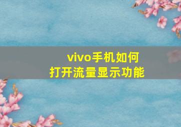 vivo手机如何打开流量显示功能