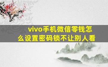 vivo手机微信零钱怎么设置密码锁不让别人看