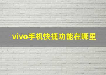 vivo手机快捷功能在哪里