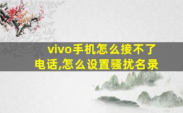 vivo手机怎么接不了电话,怎么设置骚扰名录