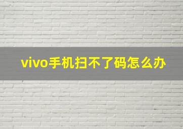 vivo手机扫不了码怎么办