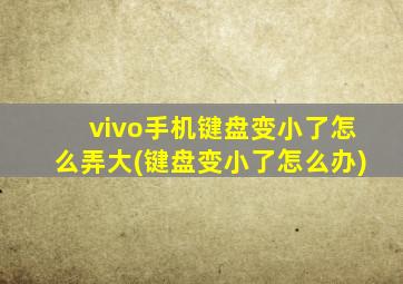 vivo手机键盘变小了怎么弄大(键盘变小了怎么办)