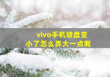 vivo手机键盘变小了怎么弄大一点呢