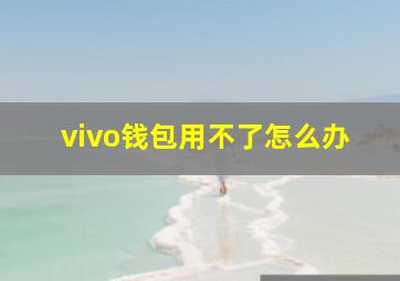 vivo钱包用不了怎么办