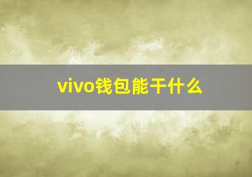 vivo钱包能干什么