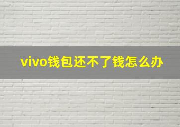 vivo钱包还不了钱怎么办