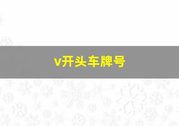 v开头车牌号