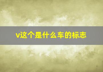 v这个是什么车的标志