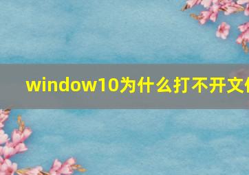 window10为什么打不开文件