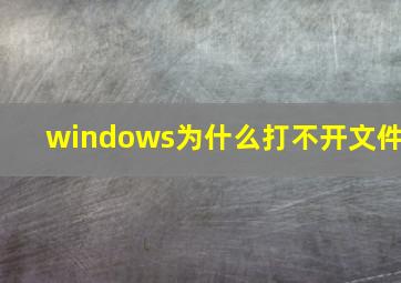 windows为什么打不开文件