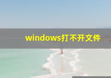 windows打不开文件