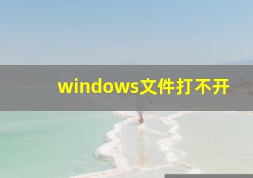 windows文件打不开