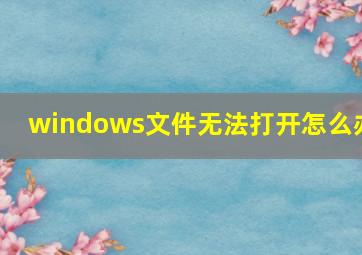 windows文件无法打开怎么办