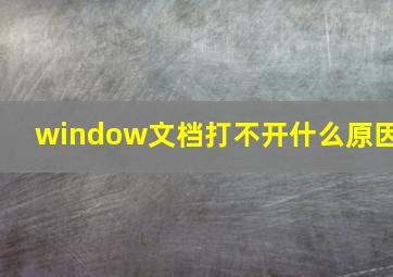 window文档打不开什么原因