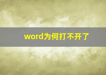 word为何打不开了