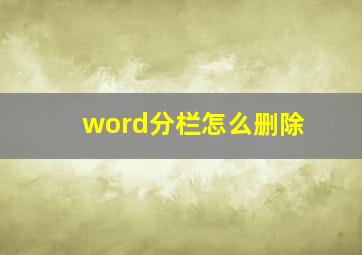 word分栏怎么删除