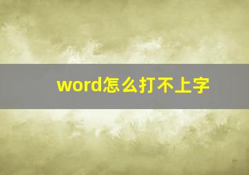 word怎么打不上字