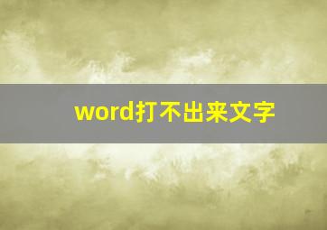 word打不出来文字