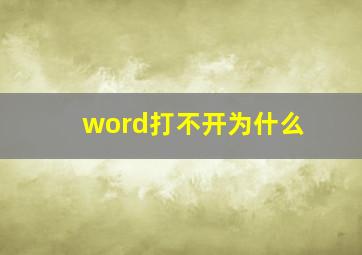 word打不开为什么