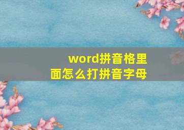 word拼音格里面怎么打拼音字母