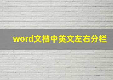 word文档中英文左右分栏