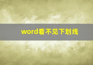 word看不见下划线