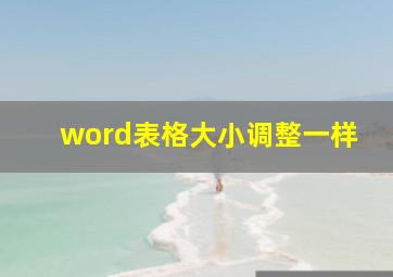 word表格大小调整一样