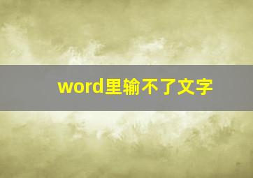 word里输不了文字