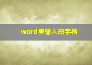 word里输入田字格