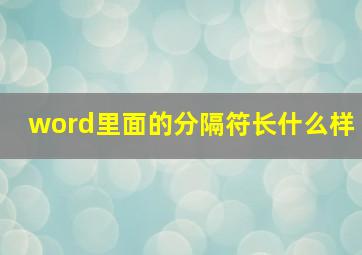 word里面的分隔符长什么样